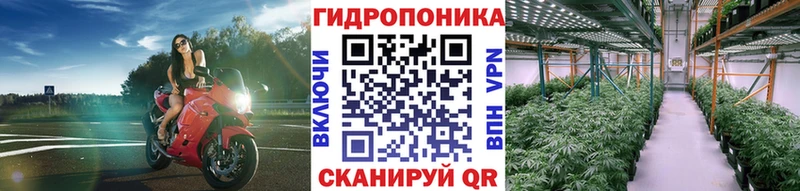 Бошки марихуана LSD WEED продажа наркотиков Далматово